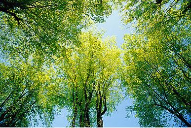 R星动画副总裁：《GTA》新作将会别出心裁